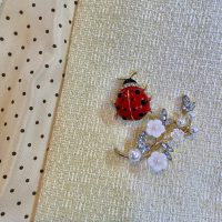 3/22(日)スケジュール☆